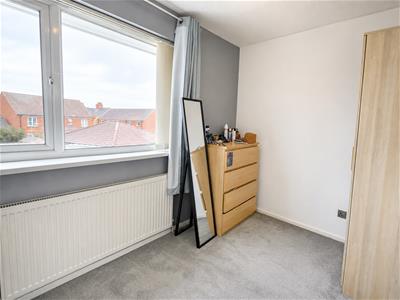 Picture 20